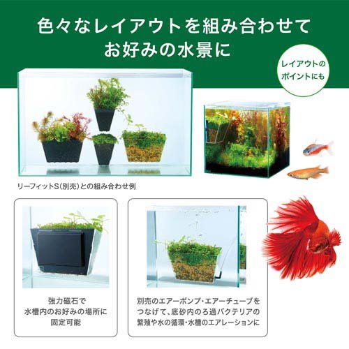 �꡼�ե��å� W(12���å�)