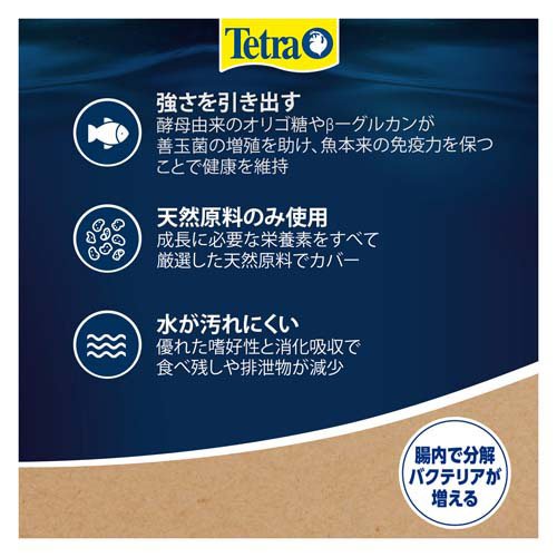 �ƥȥ� ����ߥ� �٥ӡ�(28g��72���å�)��Tetra(�ƥȥ�)��