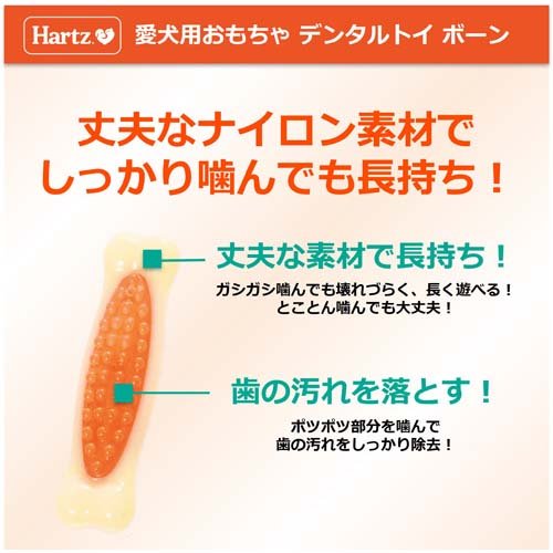 �ϡ��ĥǥ󥿥� �ܡ��� M �١�����ե졼�С�(24���å�)��Hartz(�ϡ���)��