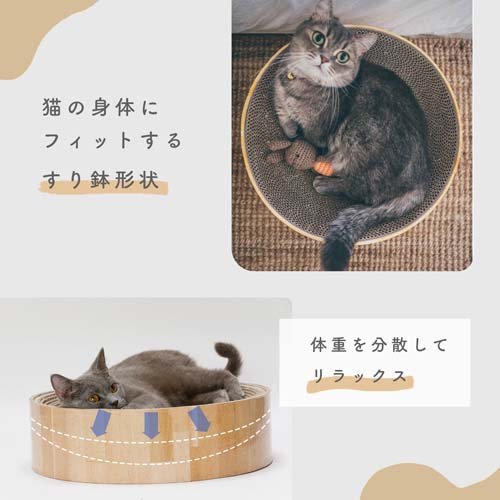 猫壱 バリバリボウル 猫柄(1個)【猫壱】