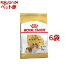 CJi u[hwXj[gV LoALO`[Yp(1.5kg*6RZbg)y201912_spzyCJi(ROYAL CANIN)z[hbOt[h]