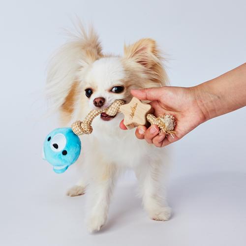 アドメイト ウッディロープアニマル くま(1個)【アドメイト(ADD.MATE)】[爽快ペットストア]