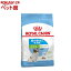 륫ʥ إ륹˥塼ȥꥷ ȥ饹⡼ ѥԡ(800g)d_rcۡd_rc15pointۡڥ륫ʥ(ROYAL CANIN)[ɥåա]