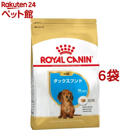 CJi u[hwXj[gV _bNXthqp(1.5kg*6RZbg)yCJi(ROYAL CANIN)z[hbOt[h]