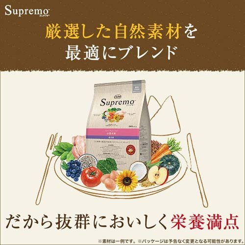 サンプル画像3
