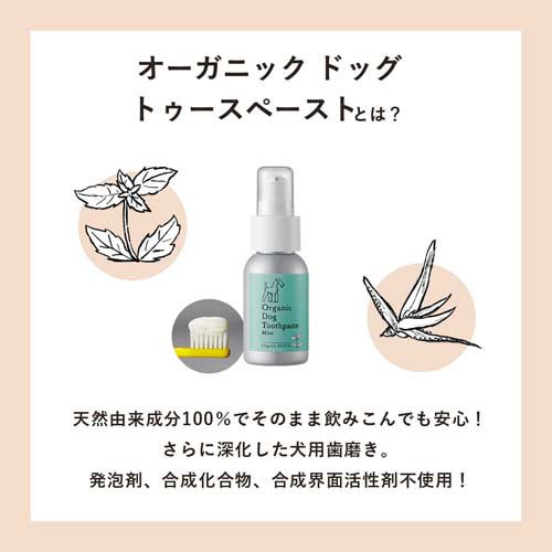 メイド・オブ・オーガニクス オーガニックドッグトゥースペースト ミント(50g*6個セット)【メイド・オブ・オーガニクス】