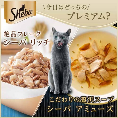 シーバ アミューズ お魚スープ 究極の2択(240g)【シーバ(Sheba)】 2