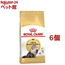 ロイヤルカナン FBN ペルシャ チンチラ ヒマラヤン 成猫用(2kg 6コセット)【d_rc】【ロイヤルカナン(ROYAL CANIN)】 キャットフード