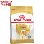 ֥륫ʥ ֥꡼ɥإ륹˥塼ȥꥷ סɥ桦(800g)ڥ륫ʥ(ROYAL CANIN)[ɥåա]פ򸫤