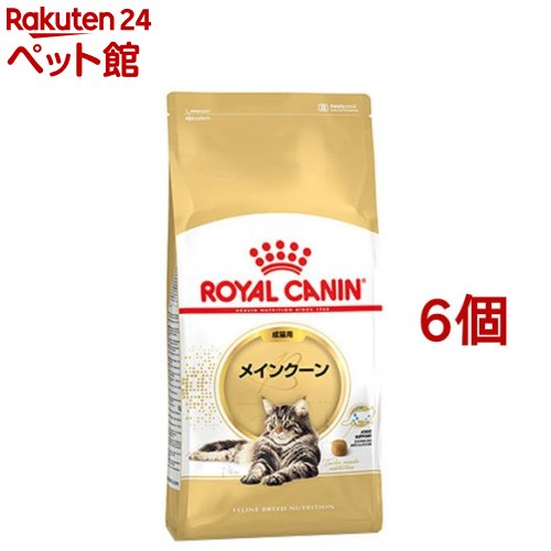 ロイヤルカナン FBN メインクーン 成猫用(2kg*6コセット)【d_rc】【2003_rcmail】【ロイヤルカナン(ROYAL CANIN)】[キャットフード]