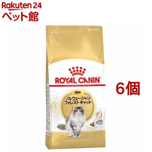 ロイヤルカナンFBN ノルウェージャン フォレストキャット 成猫 2kg*6コセット 【d_rc】【d_rc20】【ロイヤルカナン ROYAL CANIN 】[キャットフード]