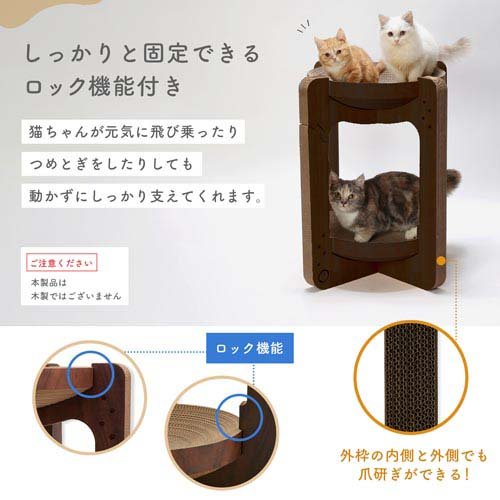 �Х�Х�ܥ��륿� ���ѤĤ�Ȥ� �������֥饦��(2������6���å�)��ǭ����