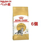 ロイヤルカナンFBN アメリカンショートヘアー 成猫用(2kg*6コセット)【d_rc】【d_rc20】【ロイヤルカナン(ROYAL CANIN)】[キャットフード]