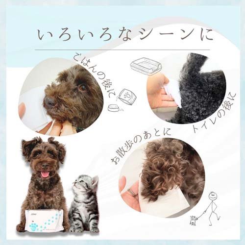 ��540�����ۥ��祤�ڥå� �����åȥƥ��å��� ��­������(6������6���å�(1��90����))��jpwt202205�ۡ�dl_2206sstwen�ۡڥ��祤�ڥå�(JOYPET)��