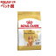 륫ʥ ֥꡼ɥإ륹˥塼ȥꥷ å桦(1.5kg)d_rcۡd_rc15pointۡڥ륫ʥ(ROYAL CANIN)[ɥåա]