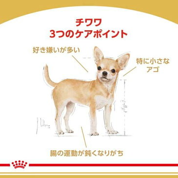 ロイヤルカナン ブリードヘルスニュートリション チワワ 成犬用(3Kg*4コセット)【ロイヤルカナン(ROYAL CANIN)】[ドッグフード][爽快ペットストア]