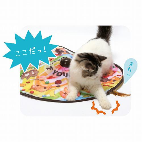 ����å����ߡ������ա��桼�������2(24���å�)��ǭ����