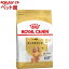 륫ʥ ֥꡼ɥإ륹˥塼ȥꥷ å桦(3kg)d_rcۡd_rc15pointۡڥ륫ʥ(ROYAL CANIN)[ɥåա]