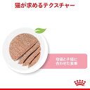 ロイヤルカナン FHN-WET マザー＆ベビーキャット(100g*24コセット)【d_rc】【dalc_royalcanin】【ロイヤルカナン(ROYAL CANIN)】[キャットフード] 2