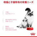 ロイヤルカナン FHN-WET マザー＆ベビーキャット(100g*24コセット)【d_rc】【dalc_royalcanin】【ロイヤルカナン(ROYAL CANIN)】[キャットフード] 3