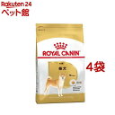 ロイヤルカナン ブリードヘルスニュートリション 柴犬 成犬用(3kg*4コセット)【ロイヤルカナン(ROYAL CANIN)】[ドッグフード]