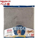 ピタペトモ プレーン 45*45cm ブラウン(2枚入)