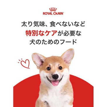 ロイヤルカナン ブリードヘルスニュートリション チワワ中・高齢犬用(3kg*4コセット)【ロイヤルカナン(ROYAL CANIN)】[ドッグフード][爽快ペットストア]