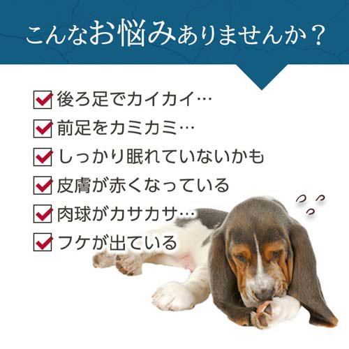 ���ȥڥå�(AT��PET) �� ǭ �ݼ��� �ե����������å���(100ml��4���å�)