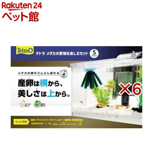 お店TOP＞アクアリウム用品＞水槽＞テトラ メダカの繁殖を楽しむセット S (6セット)【テトラ メダカの繁殖を楽しむセット Sの商品詳細】●産卵は横から、美しさは上から楽しめる水槽セット。●手間も軽減できる外掛けフィルター付き。●メダカの卵がどんどん取れる産卵床付き。●フード、カルキ抜き、メダカの繁殖用水つくり調整剤付き。●水槽フタには産卵床が簡単に取り出せるフタが付いています。【セット詳細】水槽(プラスチック)、フィルター、専用フタ、産卵床、水質調整剤(サンプル)、飼い方ガイド【規格概要】・推奨飼育匹数：5〜10匹・水槽サイズ：幅29*奥行16*高さ17.5cm・水量：約6L【ブランド】Tetra(テトラ)【発売元、製造元、輸入元又は販売元】スペクトラム ブランズ ジャパン※説明文は単品の内容です。リニューアルに伴い、パッケージ・内容等予告なく変更する場合がございます。予めご了承ください。・単品JAN：4571269554079スペクトラム ブランズ ジャパン220-0004　神奈川県横浜市西区北幸2-6-26 HI横浜ビル3階045-322-4330広告文責：楽天グループ株式会社電話：050-5306-1825[アクアリウム用品/ブランド：Tetra(テトラ)/]