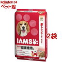 アイムス 成犬用 健康維持用 ラム＆ライス 小粒(12kg 2コセット)【d_iamsdog】【iamsd71609】【dalc_iams】【d_iams】【202009_sp】【アイムス】 ドッグフード