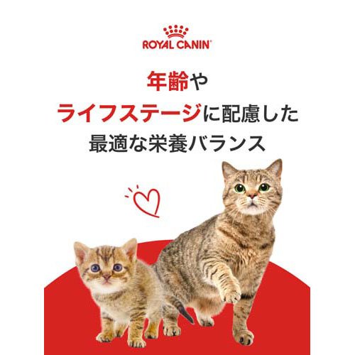 ロイヤルカナン フィーライン ヘルス ニュートリション エイジングステアライズド1...