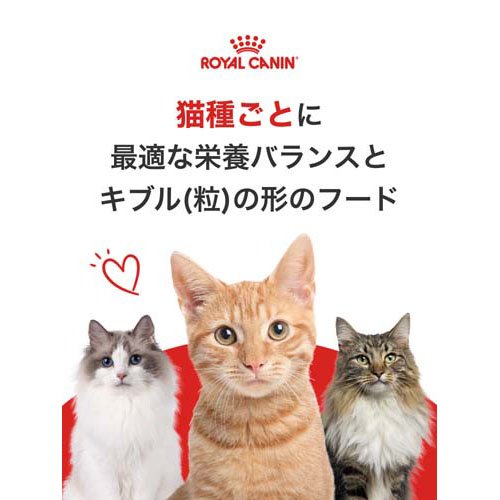 ロイヤルカナン フィーライン ヘルス ニュートリション エイジングステアライズド1...