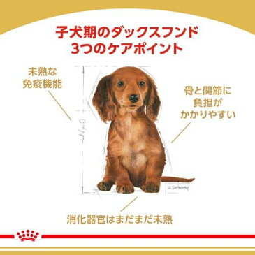 ロイヤルカナン ブリードヘルスニュートリション ダックスフンド子犬用(1.5kg)【ロイヤルカナン(ROYAL CANIN)】[ドッグフード][爽快ペットストア]