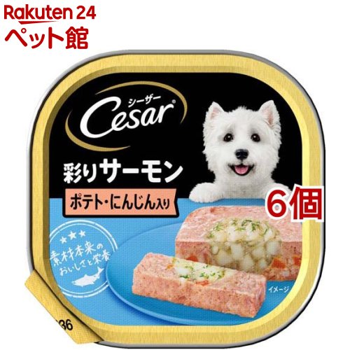 シーザー 成犬用 彩りサーモン ポテト・にんじん入り ドッグフード ウエット(100g*6個セット)【d_cesar】【シーザー(ドッグフード)(Cesar)】[ドッグフード]