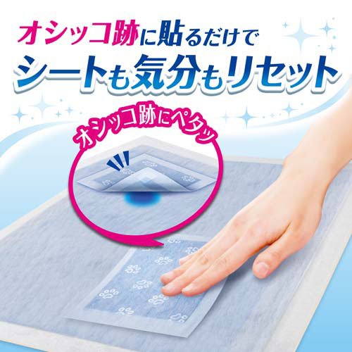 サンプル画像2