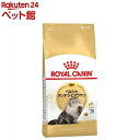 CJi FBN yVE``Eq} Lp(400g)yd_rczy2003_rcmailzyCJi(ROYAL CANIN)z[Lbgt[h]