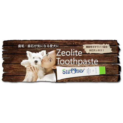 ������� �����饤�ȥϥߥ��� ����(21g��60���å�)�ڥ�������