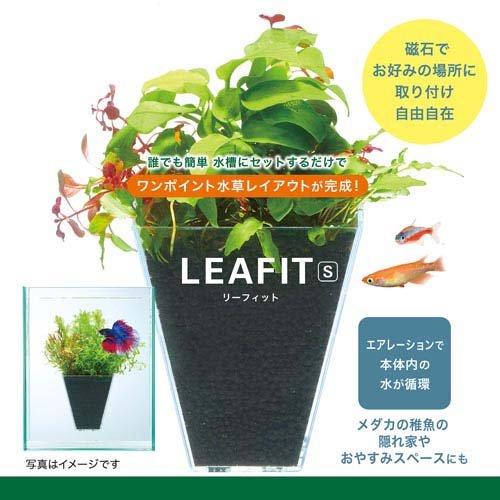リーフィット S(3セット)