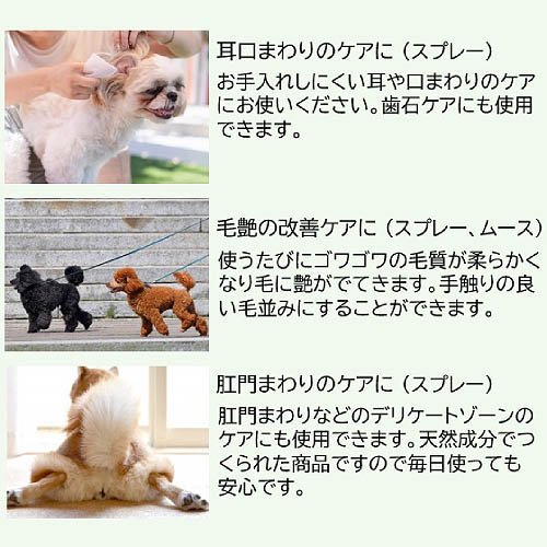 Ra�ѥ���å��� ���ץ졼������(150mL��2���å�)