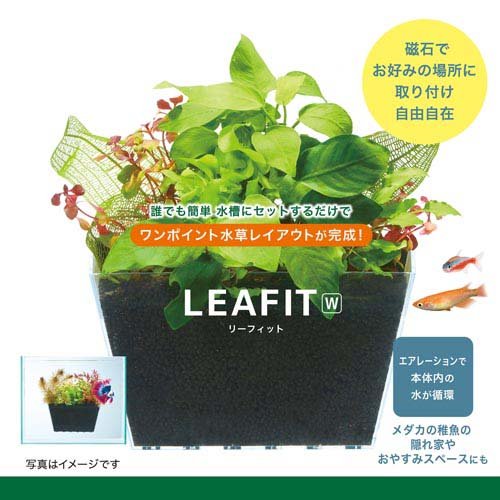 リーフィット W(3セット)