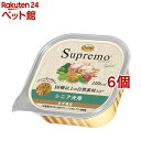 ニュートロ シュプレモ カロリーケア シニア犬用 トレイ(100g*6個セット)【シュプレモ(Supremo)】