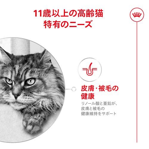 ロイヤルカナン フィーライン ヘルス ニュートリション エイジング 11+(4kg)【ロイヤルカナン(ROYAL CANIN)】 商品画像3
