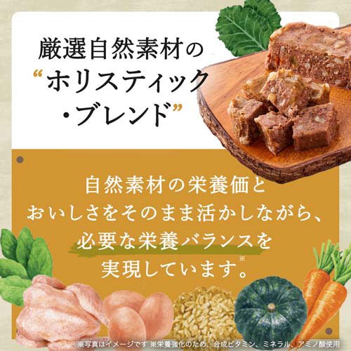 サンプル画像2