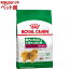 륫ʥ ߥ ɥ  10ʾ(4kg)d_rcۡd_rc15pointۡrcdog1809ۡڥ륫ʥ(ROYAL CANIN)[ɥåա]