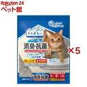 キミおもい パワフル消臭・抗菌 システムトイレ用ネコ砂 大粒(4L×5セット)