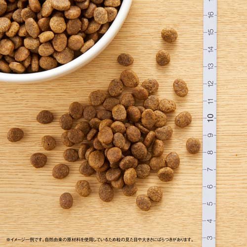 サンプル画像2