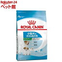 ロイヤルカナン サイズヘルスニュートリション ミニ スターター マザー＆ベビードッグ(1kg)【ロイヤルカナン(ROYAL CANIN)】[ドッグフード]