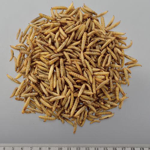 RepDeli バグプレミアム(45g×6セット)