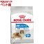 륫ʥ ʥ  ˥塼ȥꥷ ޥ 饤  (3kg)2003_rcmailۡڥ륫ʥ(ROYAL CANIN)