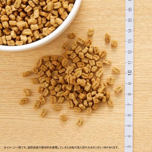 ニュートロ ナチュラルチョイス 避妊去勢 超小型〜小型 成犬 チキン玄米 ドッグフード(3kg)【d_nutro】【ナチュラルチョイス(NATURAL CHOICE)】[ドッグフード] 2